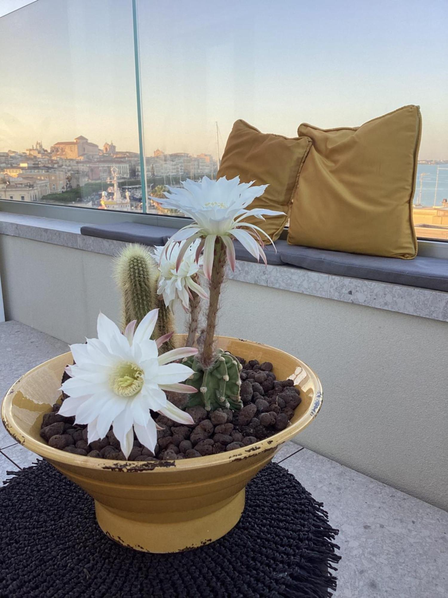 Bed and Breakfast La Terrazza Sul Porto Syracuse Exterior foto